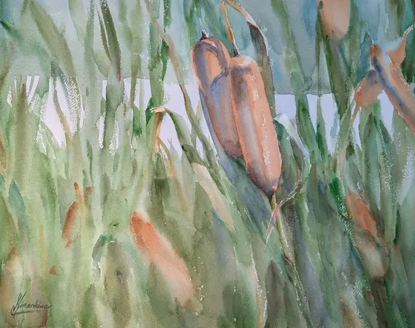 Wetlands Cattails — Plein air painting of cattails, UW Wetlands, Seattle